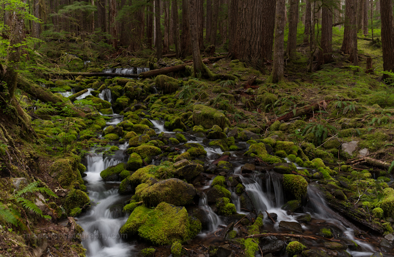 BEautiful Wide Stream